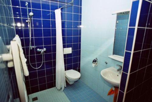 Motel Dačice Стая снимка